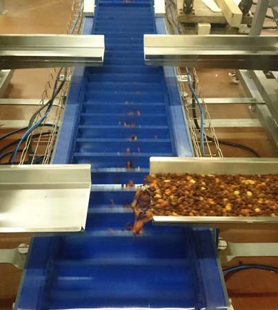 Dry ingredients conveyor