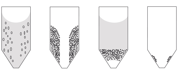 anti bridging device conical bottom palamatic process