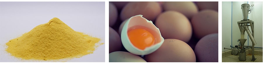 Poudrage jaunes et blancs d'œufs ovoproduits