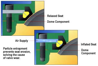 Valve with inflatable seal