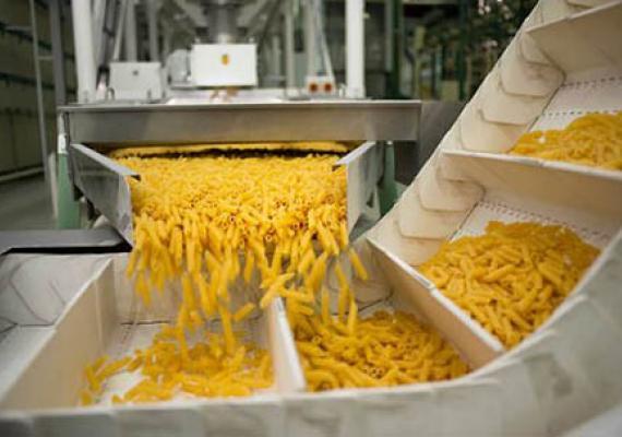 food processing belt conveyor