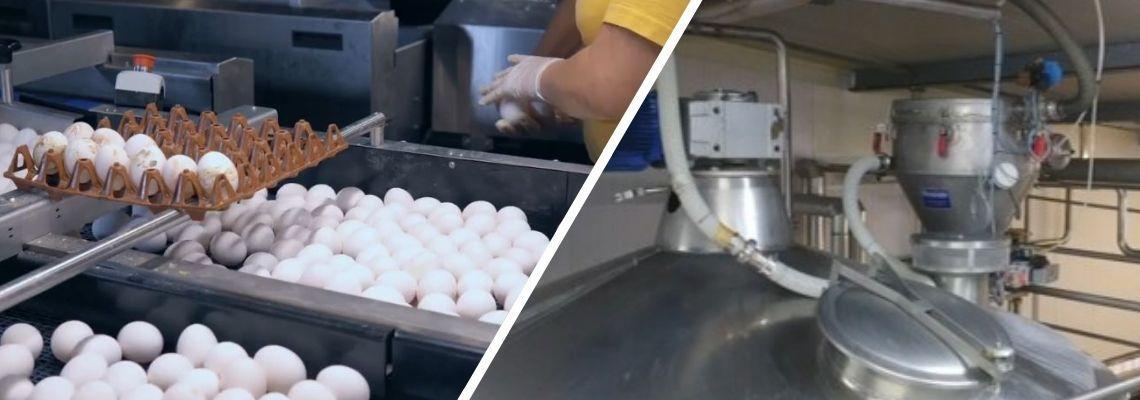 Proceslijnen voor eiproducten