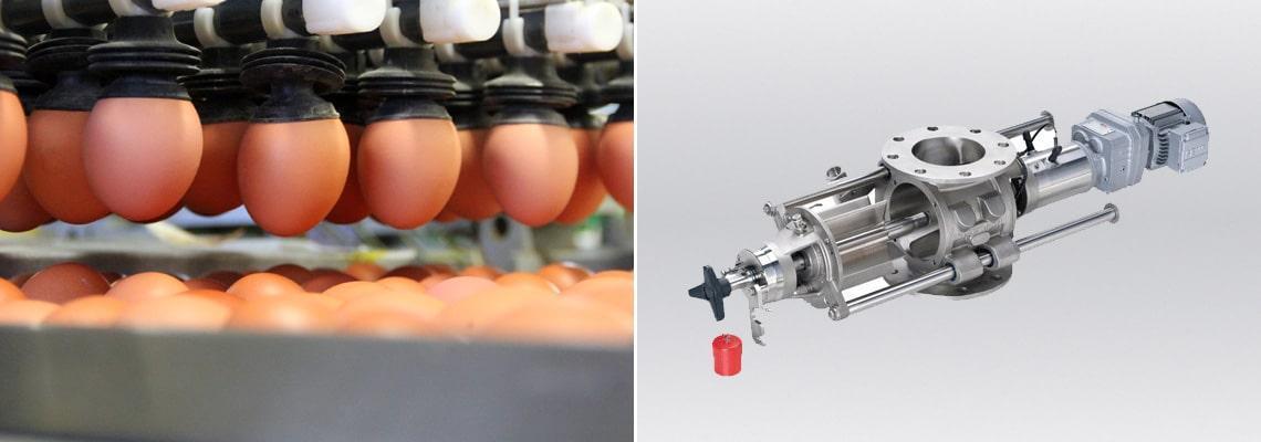Egg product processing lines 