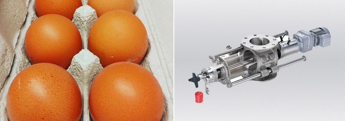 Egg product processing lines 