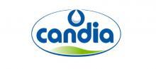 Candia