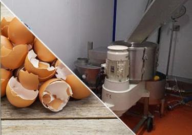 egg-process-industrial-line Egg process industrial line