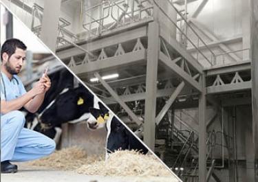 Mixing additives veterinary use