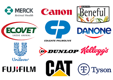 Palamatic Process world logos