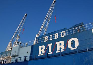 Unloading of raw material from shipping containers with inner liner bag 