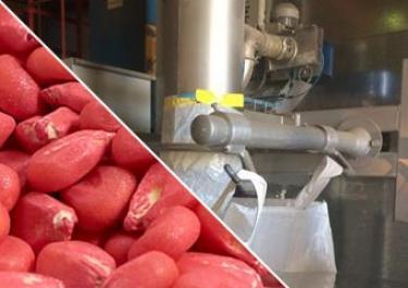 Seeds packing line
