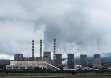 Smoke treatment processing line