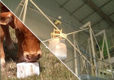 discharging-and-conveying-of-feed-additives Discharging and conveying of feed additives