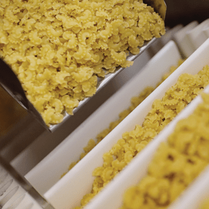 agro food industry processing line palamatic process