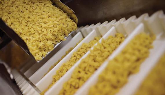 Food industry application bulk handling