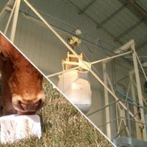 Discharging and conveying of feed additives