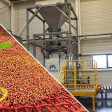 Bulk bag filling with seeds Seed conditioning