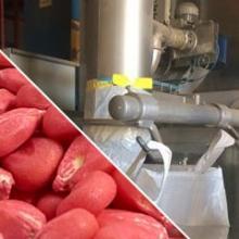 Seeds packing line