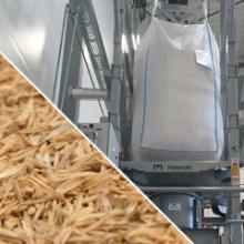 Production de farine d'insectes