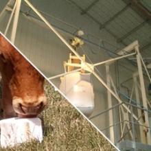 discharging-and-conveying-of-feed-additives Discharging and conveying of feed additives