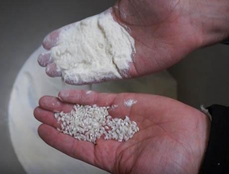 Farine de riz  Palamatic Process