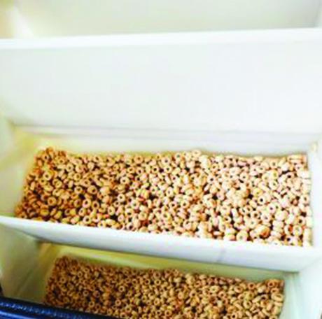 Bucket conveyor for cereals