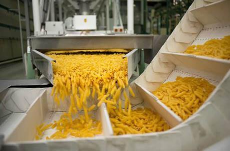 food processing belt conveyor